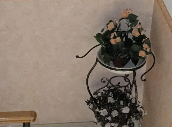 D'elite & Breakfast B&B